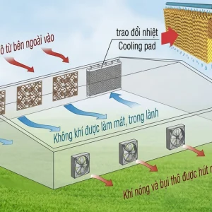HỆ THỐNG COOLING PAD